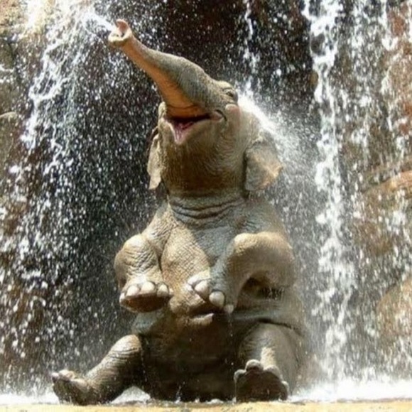 Meet your Posher, Marlene - Picture 1 of 1